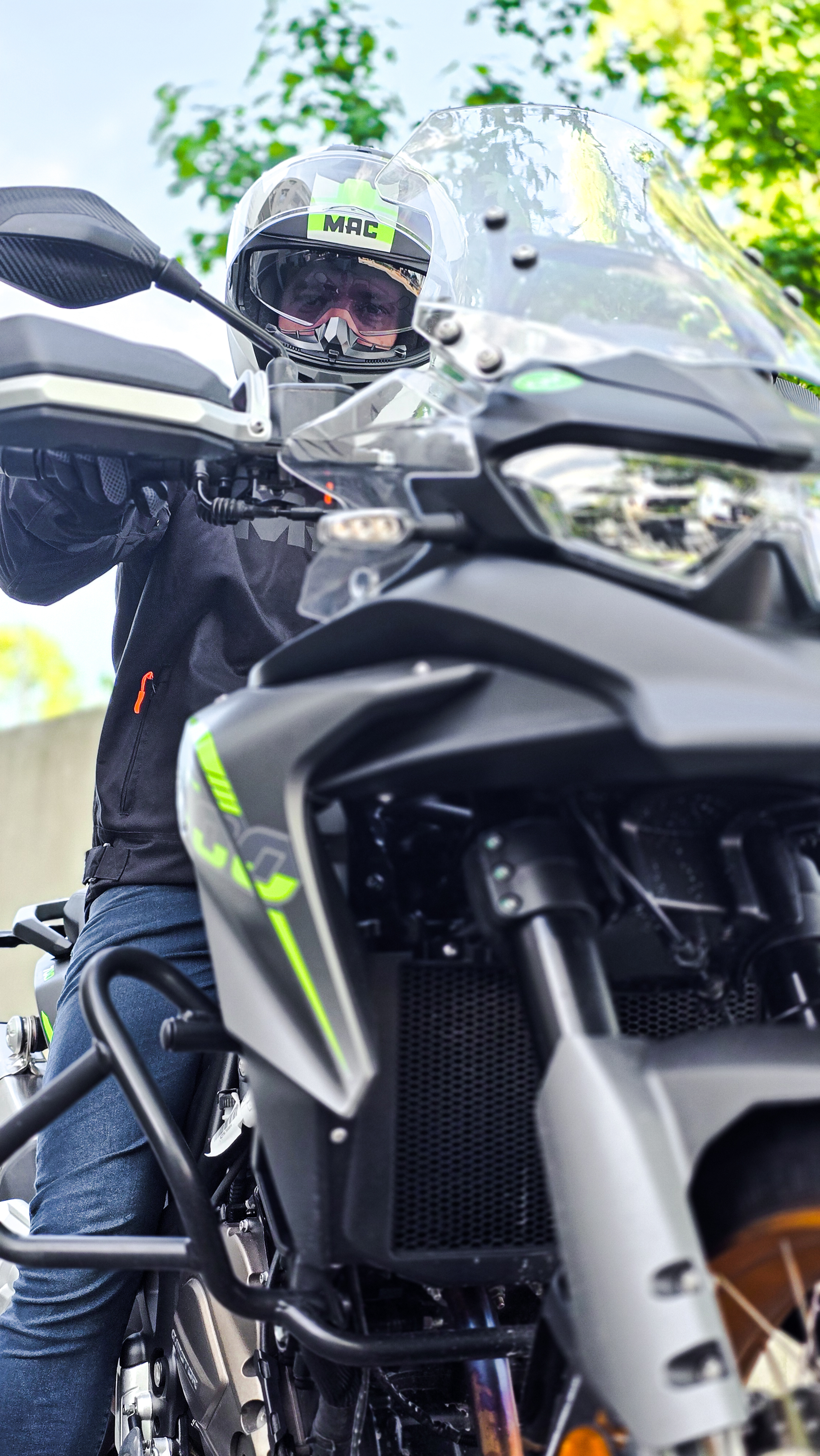 BLAZE MONARCH YLW-15-2.jpg